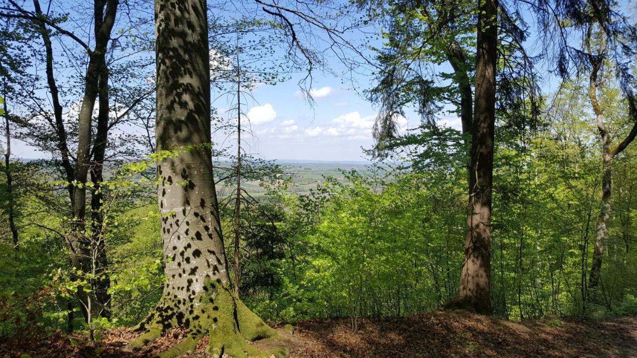 Schillerstueble Lägenhet Bodelshausen Exteriör bild